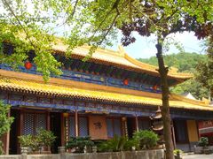 -普陀山风景名胜区-法雨禅寺