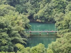 -鼎湖山风景区