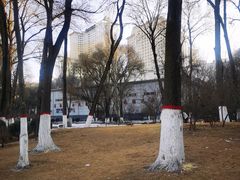 -西宁市人民公园(城西区)