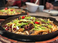 老板恋上鱼-老板恋上鱼(恒隆广场店)