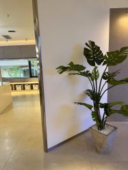 点击看大图 -马克叔叔的照相馆(东门店)