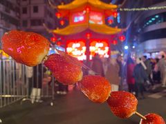 -越秀西湖花市(广州城市广场花卉店)