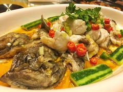 青石斑-东方之珠海鲜酒楼(南开店)