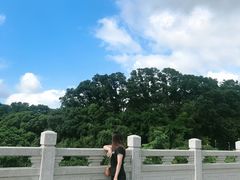 -深圳仙湖植物园-停车场
