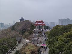 -黄鹤楼公园(黄鹤楼)