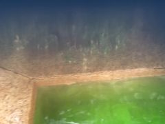 -春晖园度假酒店温泉