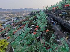 -枇杷园食为鲜火锅(南山店)