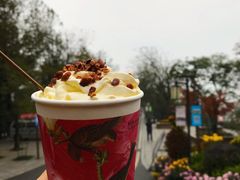 -茶颜悦色(岳麓山顶店)