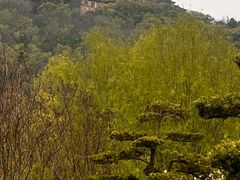 -狼山风景名胜区