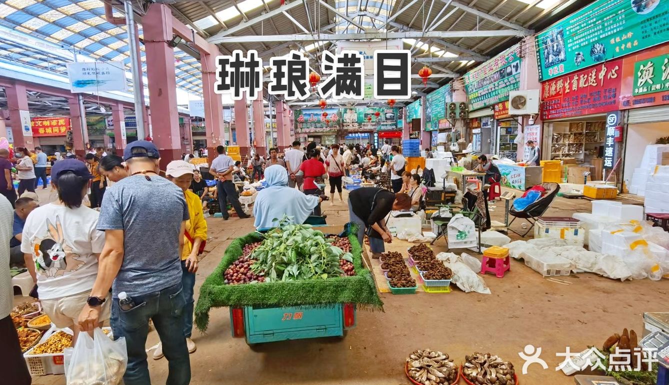 云南木水花野生菌市场买菌记