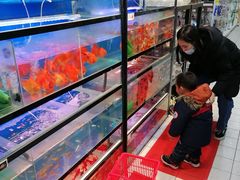 -大润发(张江店)
