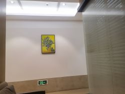 -上海薇琳医疗美容医院