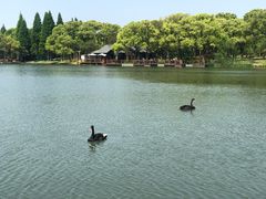 -新洲生态园