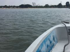 -上海月湖雕塑公园