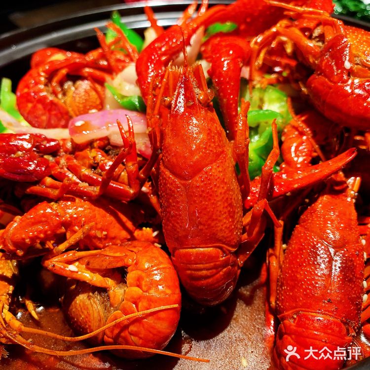 此乃小龙虾🦞界的贝勒爷！盘他盘他！