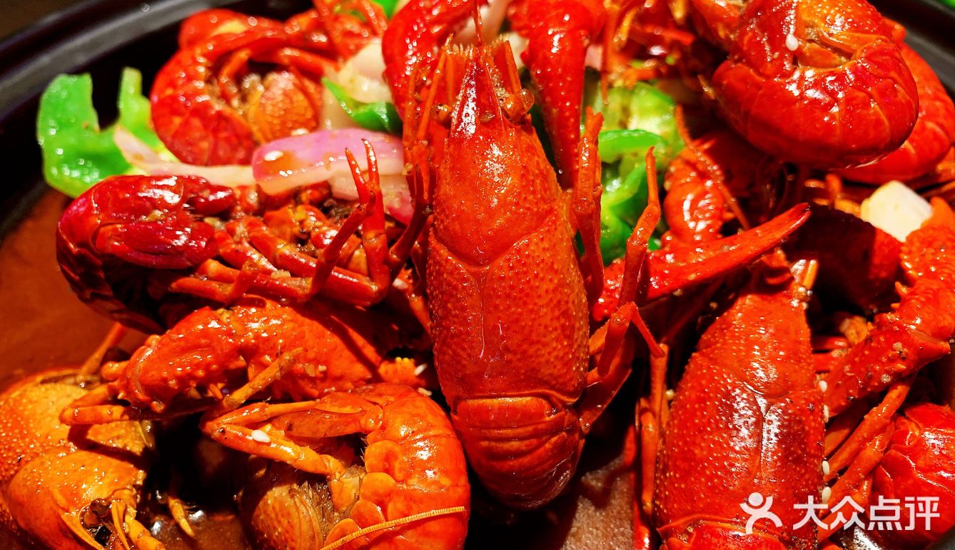 此乃小龙虾🦞界的贝勒爷!盘他盘他!