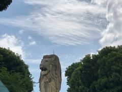 -圣淘沙天际线斜坡滑车