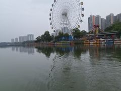 -飞来湖湿地公园