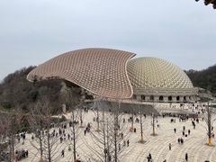 -牛首山文化旅游区