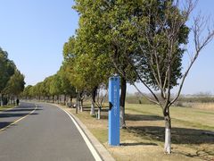 -漕湖湿地公园