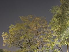 -扬州古运河