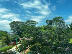 -北京大学深圳研究生院-燕园2食堂