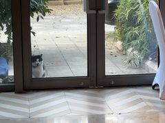 -筠咖啡西餐厅(上海国展宝龙丽筠酒店)