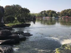 -上海鲜花港