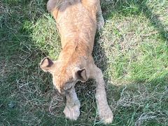 -南京金牛湖风景区