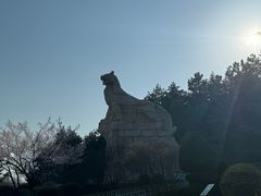 -帽儿山国家森林公园