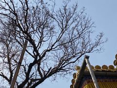 -塔尔寺