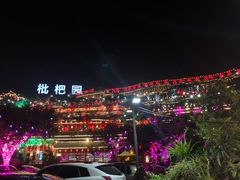 -枇杷园食为鲜火锅(南山店)