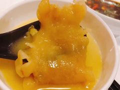 -鲜入围煮花胶鸡海鲜火锅