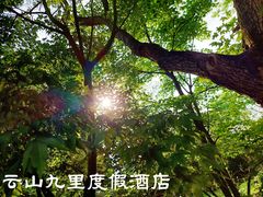 -云山九里度假酒店蝶庐阁中餐厅