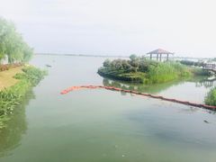 -动邦皮划艇·桨板·独木舟·团建户外运动俱乐部