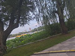 -长春市南湖公园