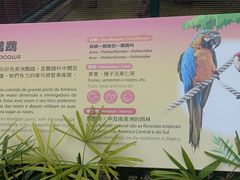 -石排湾郊野公园