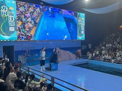 -洛阳龙门海洋馆
