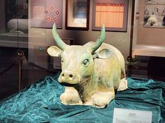-宁夏博物馆