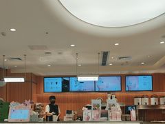 -茉莉奶白(天水秦州万达广场店)