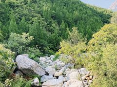 -禅宗少林·音乐大典