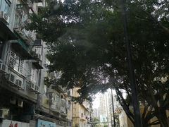 -澳门历史城区