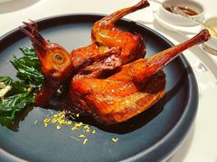 桂花乳鸽-誉珑轩