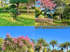 -荔香公园