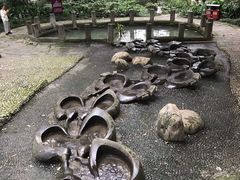 -成都市活水公园