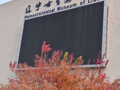 -辽宁古生物博物馆