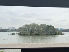 -海珠湖公园