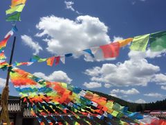 -塞罕坝国家级自然保护区