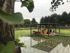 -洪湖家庭农场·团建·露营·会议