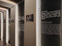 -凤凰中心